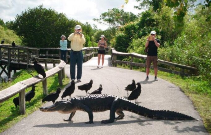 Semi-Private Everglades Tour From Miami or Fort Lauderdale - Cancellation Policy