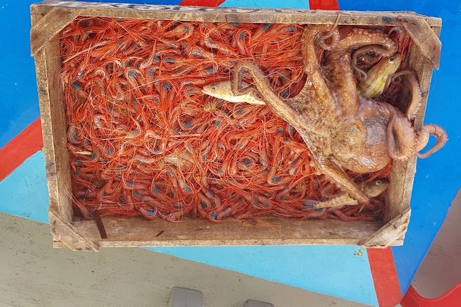 Semi - Private Fishing Tour (Transportation Included) - Freshly Cooked Seafood