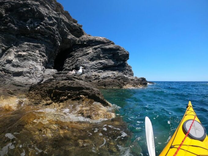 Semi-Private Half Day Kayaking Tours in Milos - Explore Unique Caves and Beaches