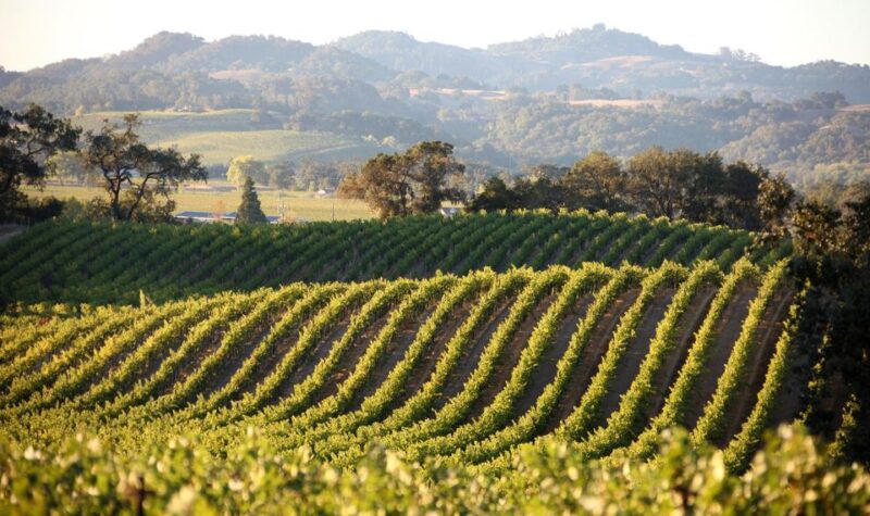 Semi Private Heraklion Valley Wine Tour With Lunch - Itinerary Details