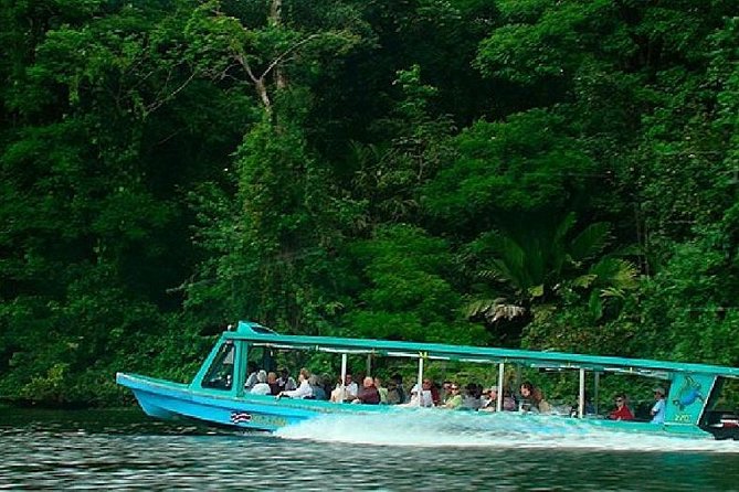 Semi Private La Paz Waterfall Gardens & Safari in Sarapiqui River From San Jose - Positive Feedback