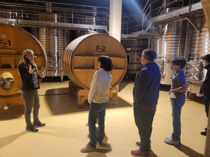 Semi-Private La Rioja Tour of 3 Premium Wineries From Bilbao - Whats Included in the Tour