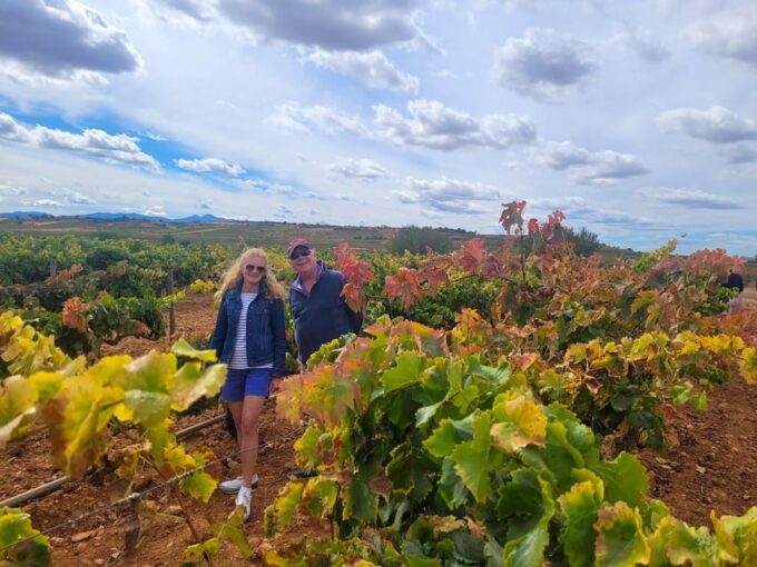 Semi-Private La Rioja Tour of 3 Premium Wineries From Bilbao - Rating and Reputation