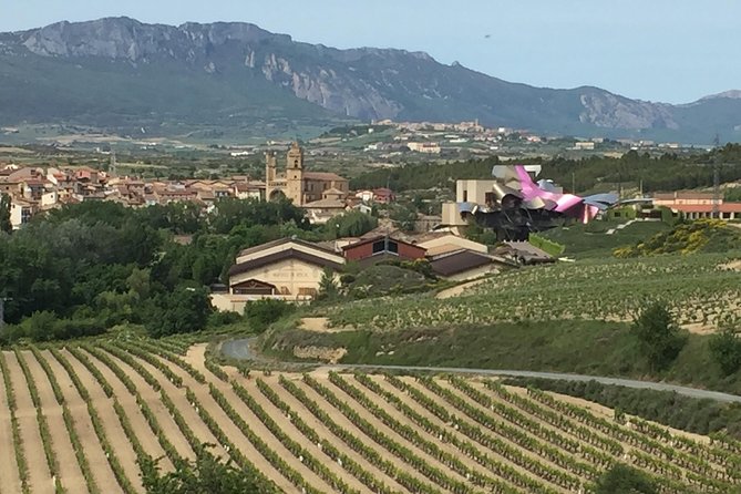 Semi-Private La Rioja Tour of 3 Premium Wineries From Bilbao - Customer Reviews Breakdown