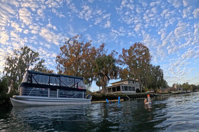 Semi Private Manatee Swim Tour - In The Sum Up