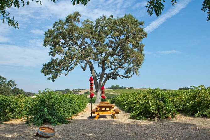 Semi-Private, Modified Hop-On Hop-Off Wine Tasting Tour From Morro and Cayucos - Exclusions