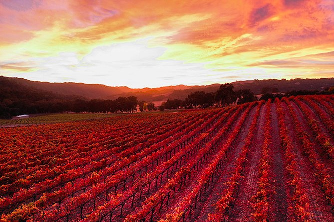 Semi-Private, Modified Hop-On Hop-Off Wine Tasting Tour From Paso Robles - Cancellation and Refund Policy