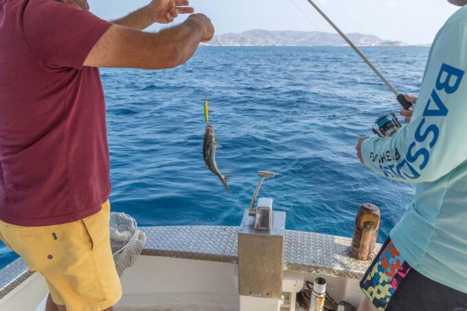 Semi-Private Morning Cruise From Pollonia to Polyaigos - Cancellation Policy