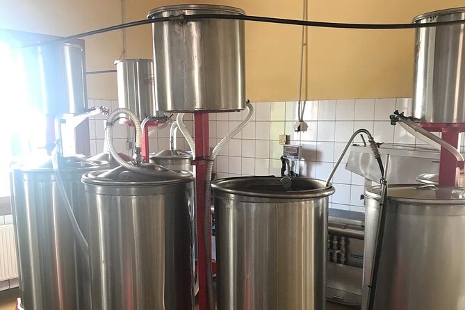 Semi- Private Olive Grove and Oilve Mill With Olive Oil Tastings - Reviews