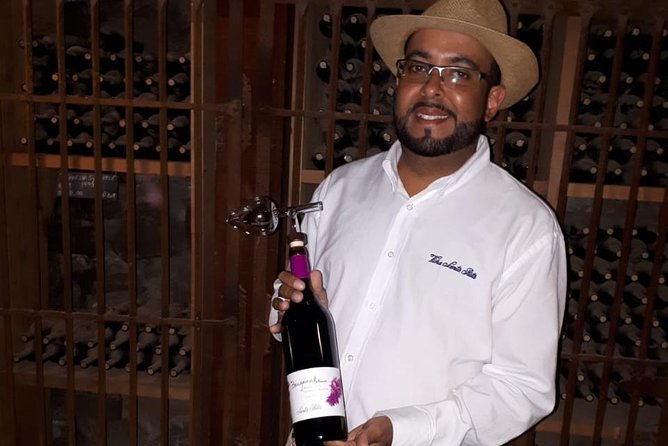 Semi-Private Premium Wine Tour at Santa Rita Winery - Key Points