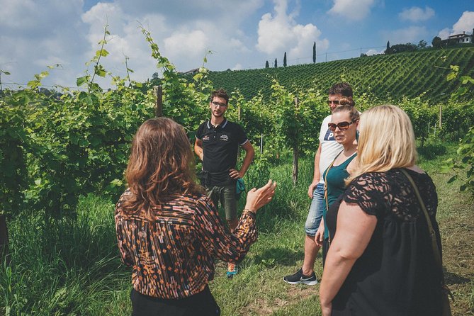 Semi-Private Prosecco Wine Tour From Venice - Tour Schedule
