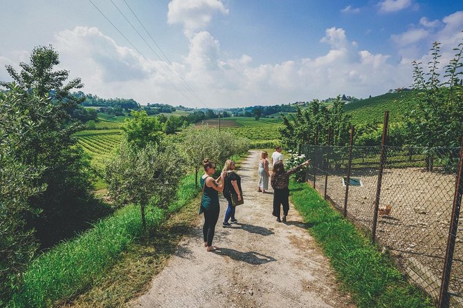 Semi-Private Prosecco Wine Tour From Venice - Important Notes