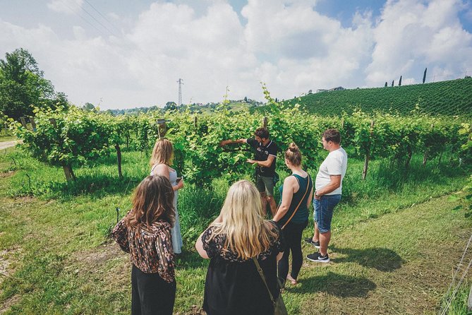 Semi-Private Prosecco Wine Tour From Venice - Tasting and Lunch Experience