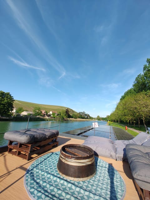 Semi Private Solar Boat Cruise in Champagne - Frequently Asked Questions
