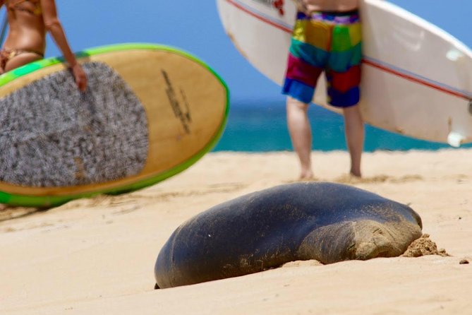 Semi-Private Surf Lesson - Lesson Details