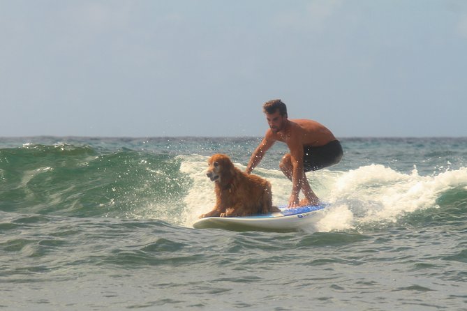 Semi-Private Surf Lesson - Review Highlights