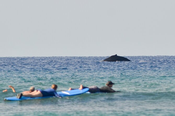 Semi Private Surf Lessons With Experienced Coaches - Key Points