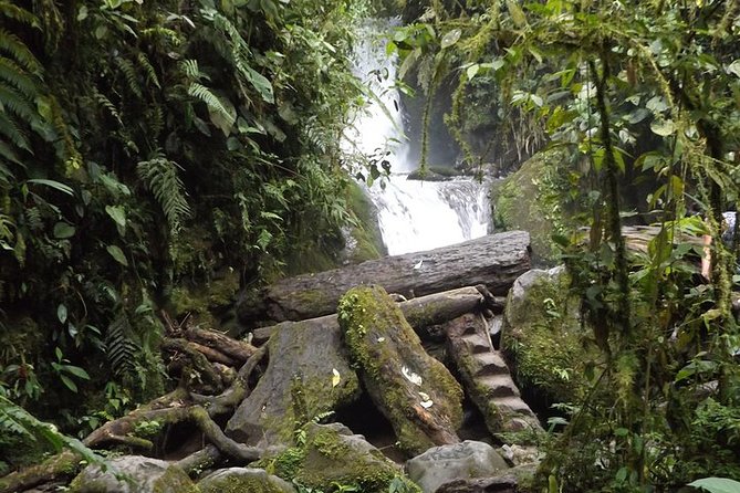 Semi-Private Tour: Mindo Full-Day Tour - Exploring Mindo