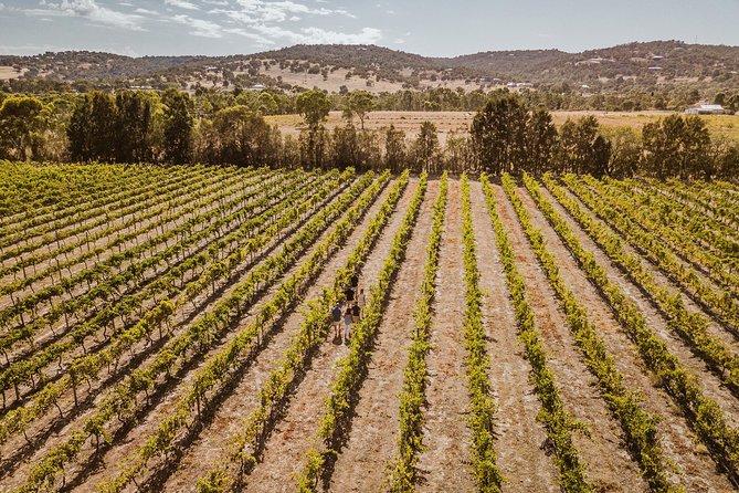 Semi-Private Tour: Swan Valley Premium Wine Lovers Experience - Booking and Cancellation Policy