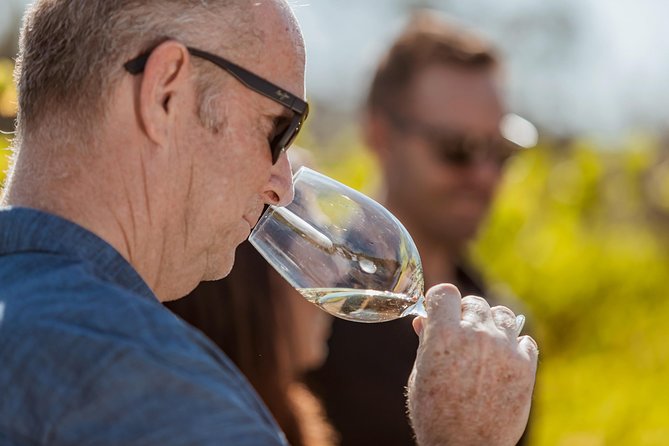 Semi-Private Tour: Swan Valley Premium Wine Lovers Experience - Accessibility and Transportation