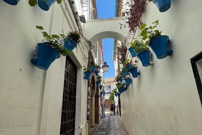 Semi Private Tour to Córdoba From Nerja - Inclusions