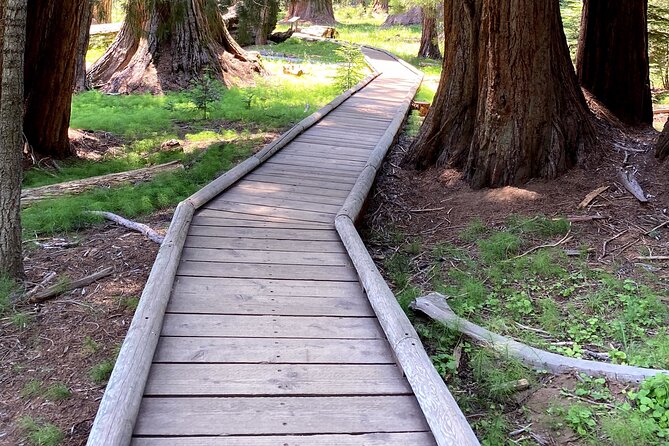 Semi Private Tour to Sequoia National Park With Lunch - Tour Experience
