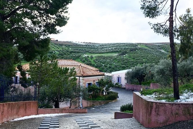 Semi Private Wine and Olive Oil Tour (Transfer & Lunch Incl.) - Pickup and Booking Details