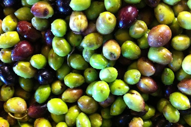 Semi Private Wine and Olive Oil Tour (Transfer & Lunch Incl.) - Customer Feedback