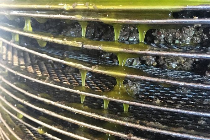 Semi Private Wine and Olive Oil Tour (Transfer & Lunch Incl.) - Why Choose This Tour