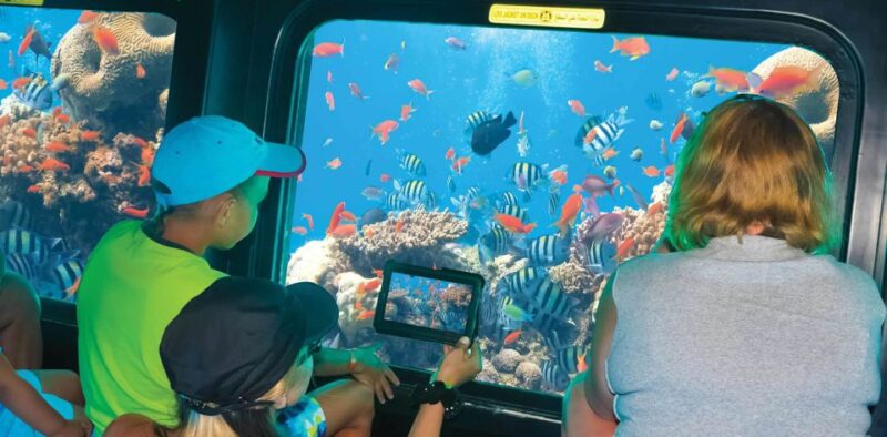 Semi Submarine and Hurghada City Tour With Transfer - Itinerary Highlights