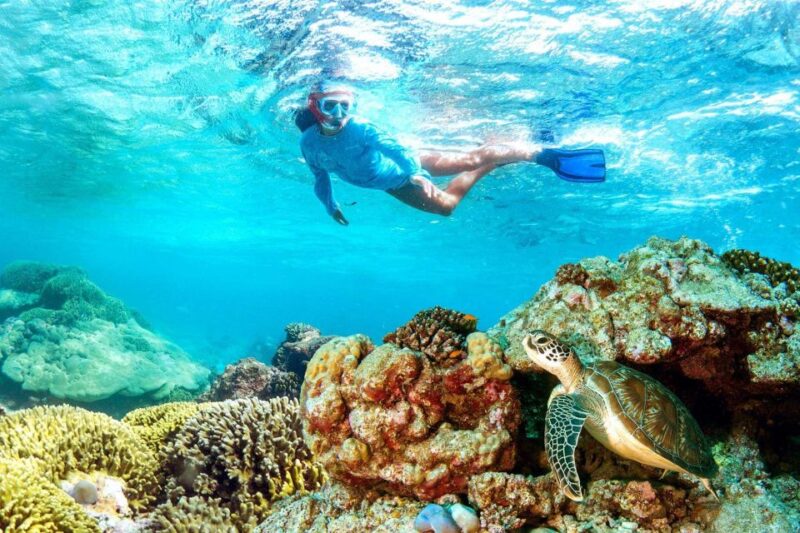 Semi Submarine and Hurghada City Tour With Transfer - Semi-Submarine Experience