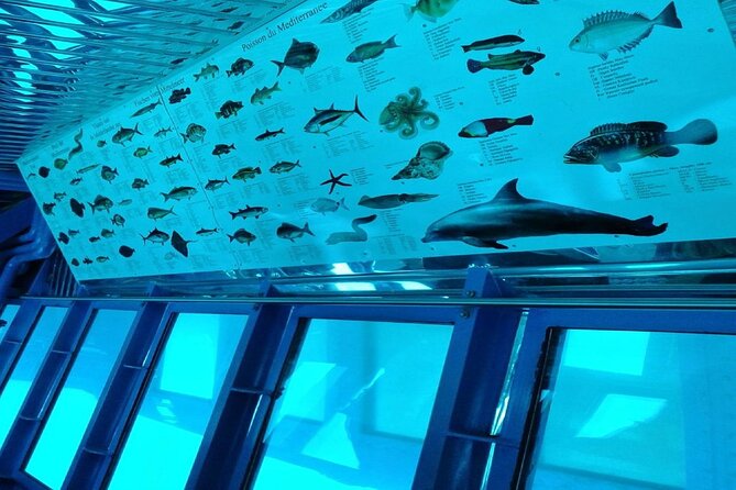 Semi-Submarine Tour From Agios Nikolaos - Inclusions and Accessibility