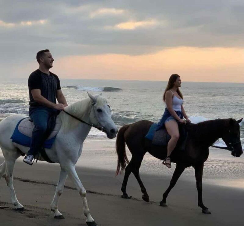 Seminyak: Bali Horse riding Adventure Seminyak Beach - Key Points