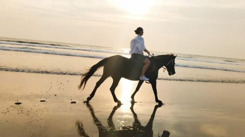 Seminyak: Bali Horse riding Adventure Seminyak Beach - The Value of the Experience