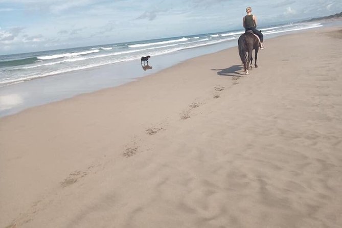 Seminyak Beach Horse Riding - Meeting and Transportation