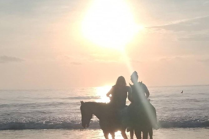 Seminyak Beach Horse Riding - Customer Feedback Highlights