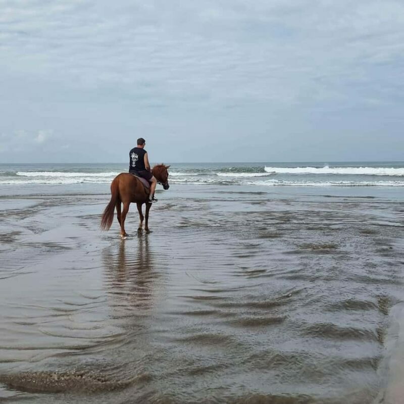 Seminyak Beach Horse Riding Experience - A Detailed Look at the Horse Riding Adventure
