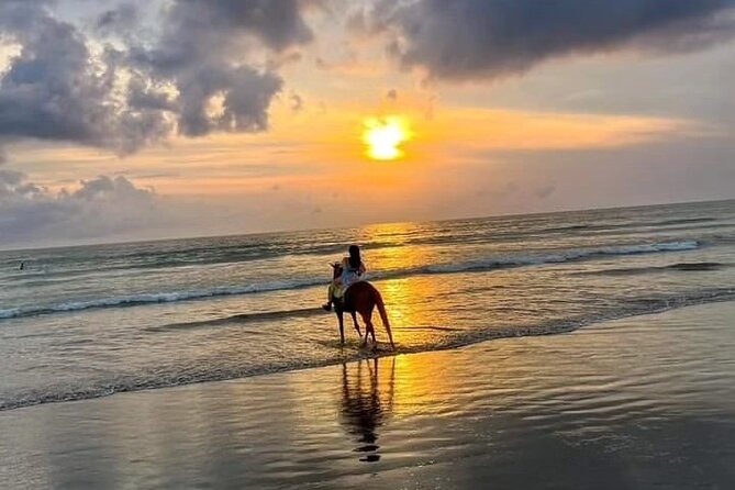 Seminyak Horse Back Riding Bali Under Sunset - Activity Inclusions
