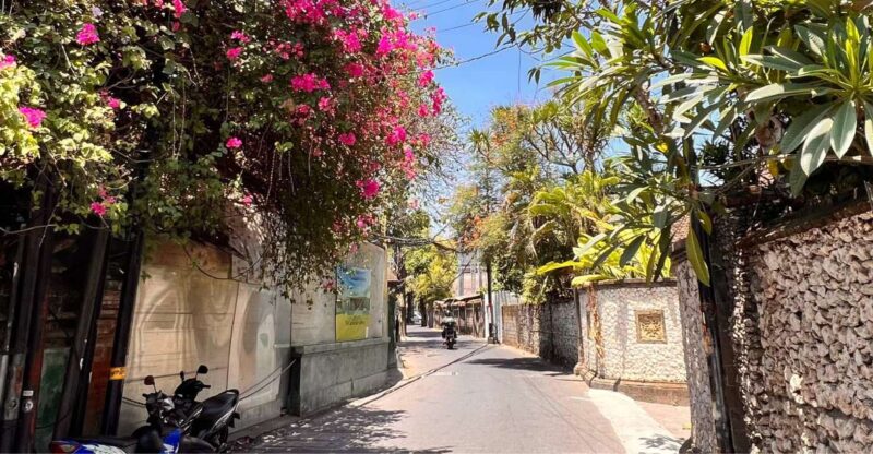 Seminyaks Backlanes and Hidden Sites: A Self-Guided Tour - Important Information
