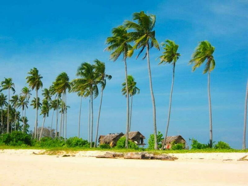 Semporna: Bohey 3 Islands Hike, Snorkel/Dive Tour with Lunch - Final Thoughts: Is This Tour for You?