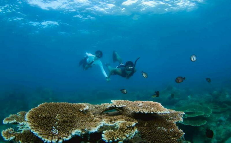 Semporna: Explore 3 Islands Tour Snorkel or Dive & Lunch - Key Points