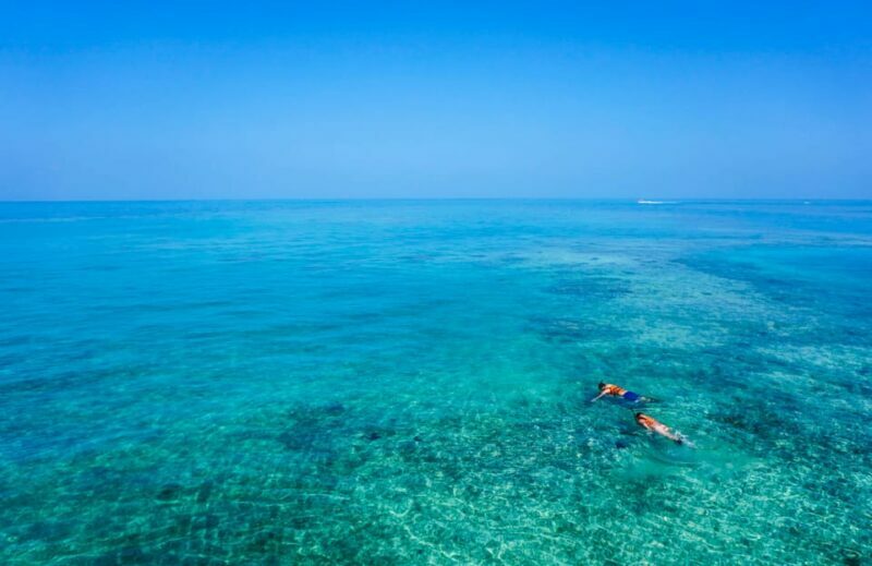 Semporna: Explore 3 Islands Tour Snorkel or Dive & Lunch - The Marine Environment & Activities: What You’ll Experience