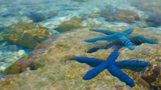 Semporna : Island Hopping Tropical Trio Sabah - How to Book