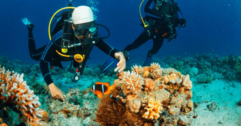 Semporna : Mabul and Kapalai Island Hopping Shared Tour - Booking and Cancellation