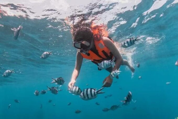Semporna : Mabul and Kapalai Island Hopping Shared Tour - Frequently Asked Questions