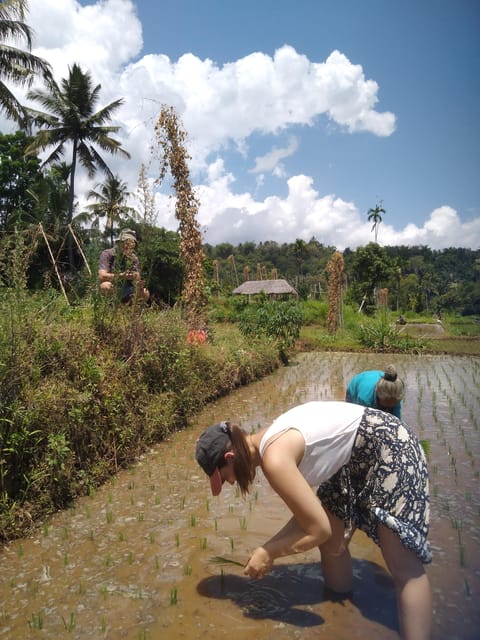 Senaru Soft Trekking Tour - Itinerary Highlights
