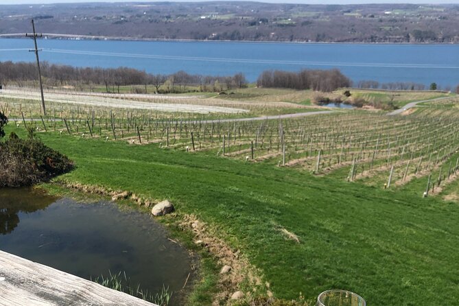 Seneca Lake South Wine Tastings Tour - Winery Visits and Tastings