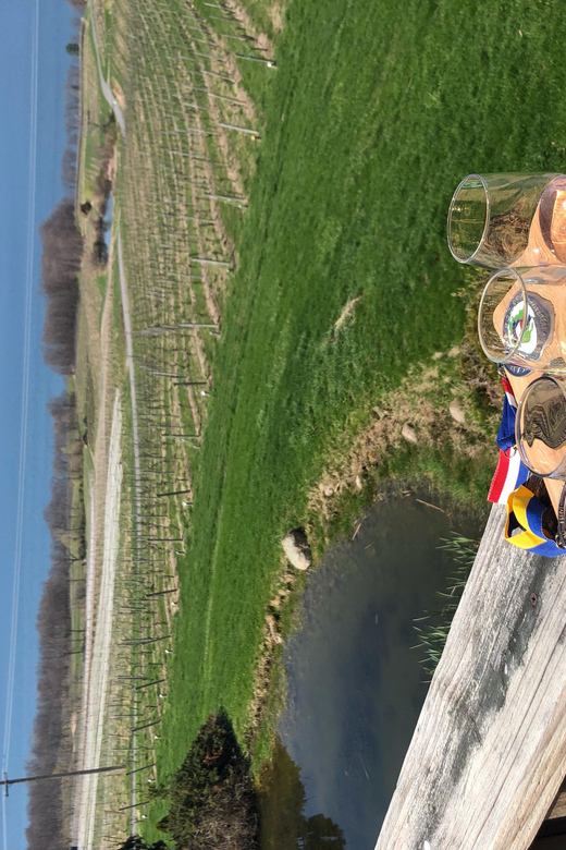Seneca Lake: Wine Tasting Tour With Lunch - Key Points