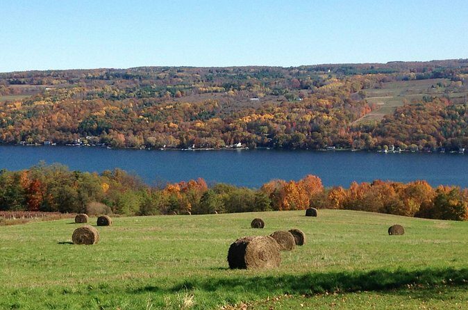 Seneca Lake Wine Tour - Customizable - Final Thoughts: Is It Worth It?