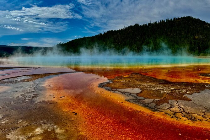 Seniors Special May  Yellowstone Lower Loop West Yellowstone - Tour Highlights
